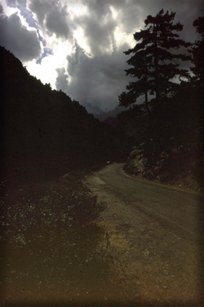 n_13  Foret Carrozi D147 Stranciacone Asco morgens.jpg